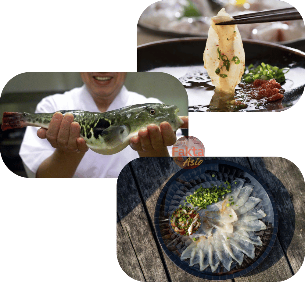 Ikan Fugu Jepang