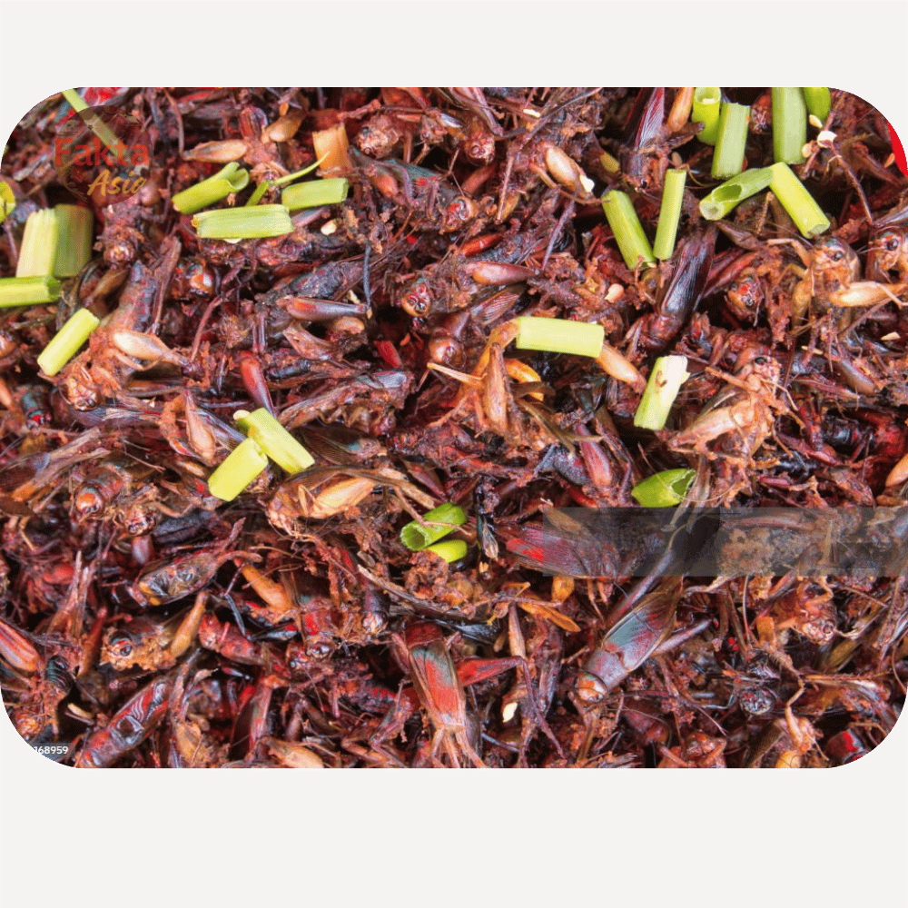 Jangkrik goreng khas Asia Tenggara
