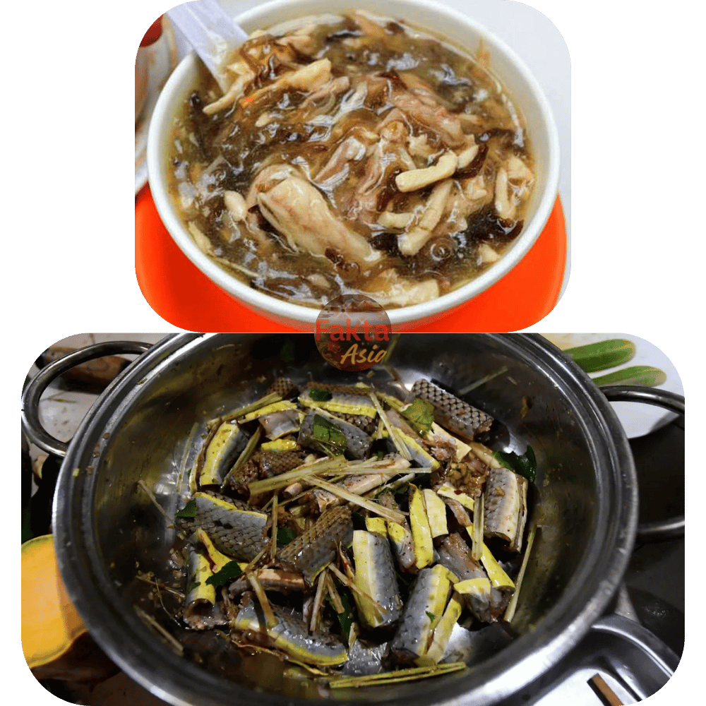Sup ular dari Vietnam dan Tiongkok
